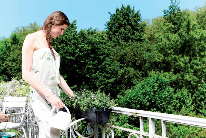 green basics trough allin1 70cm living black